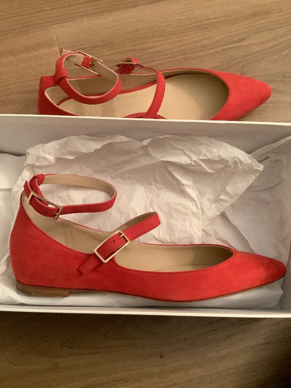 Chloe Ankle Strap Flats